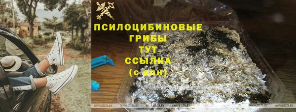 apvp Алексин
