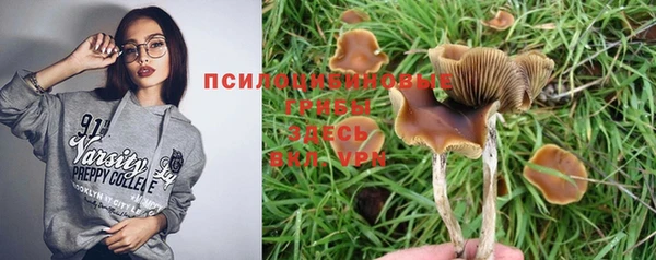 амфетамин Алексеевка