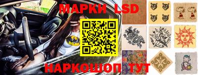 дурь Сланцы
