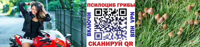 наркота KRAKEN зеркало Галлюциногенные грибы ЛСД Первоуральск