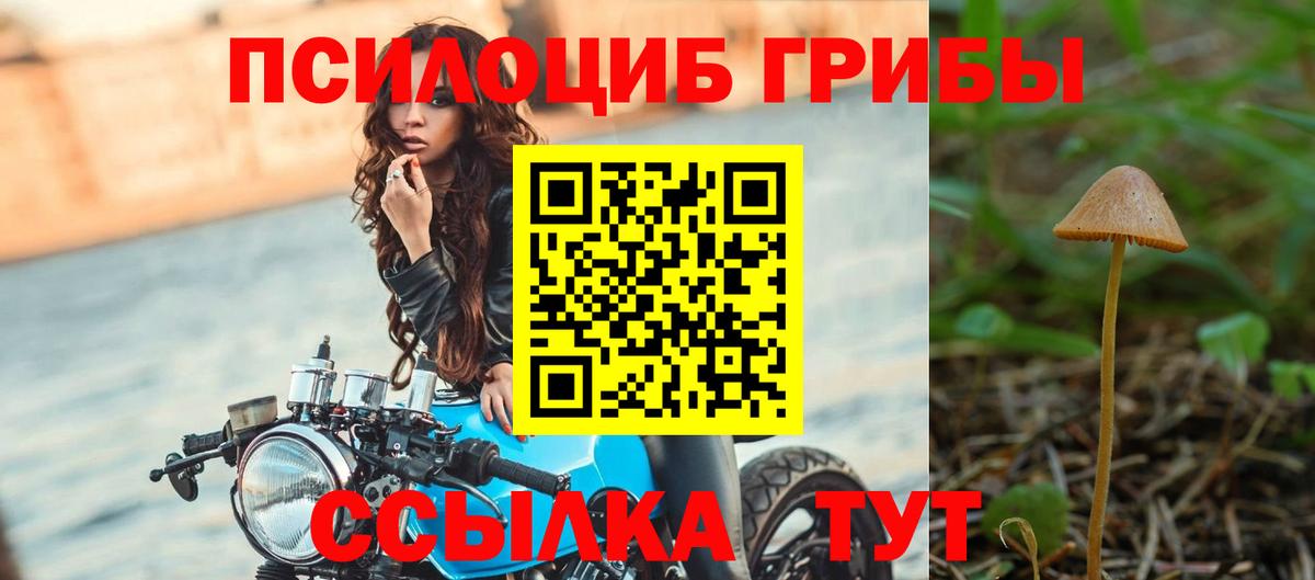 Галлюциногенные грибы мицелий  наркотики  Первоуральск  Вход с VPN  Псилоцибиновые грибы Psilocybine cubensis 