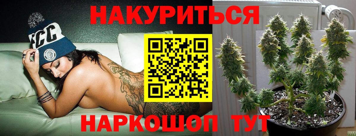 Бошки Шишки планчик  Вход с VPN  Первоуральск  МАРИХУАНА марихуана  Шишки марихуана сатива 